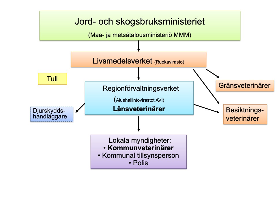 Källa: Livsmedelsverket (Ruokavirasto) Flödesschema om övervakning av djurskyddet I Finland. Högst upp Jord- och skogsbruksministeriet. Nästa under Livsmedelsverket som kontrollerar Gänsveterinärer och besiktningsveterinärer. Under Livsmedelsverket är Regionförvaltningsverket AVI och Länsveterinärer. AVI kontrollerar också besiktningsveterinärer och djurskyddshandläggare. Lägst ner är lokala myndigheterna: Kommunveterinärer, kommunala tillsynsperson och polis. På sidan finns Tull som separat övervakningsmyndighet.