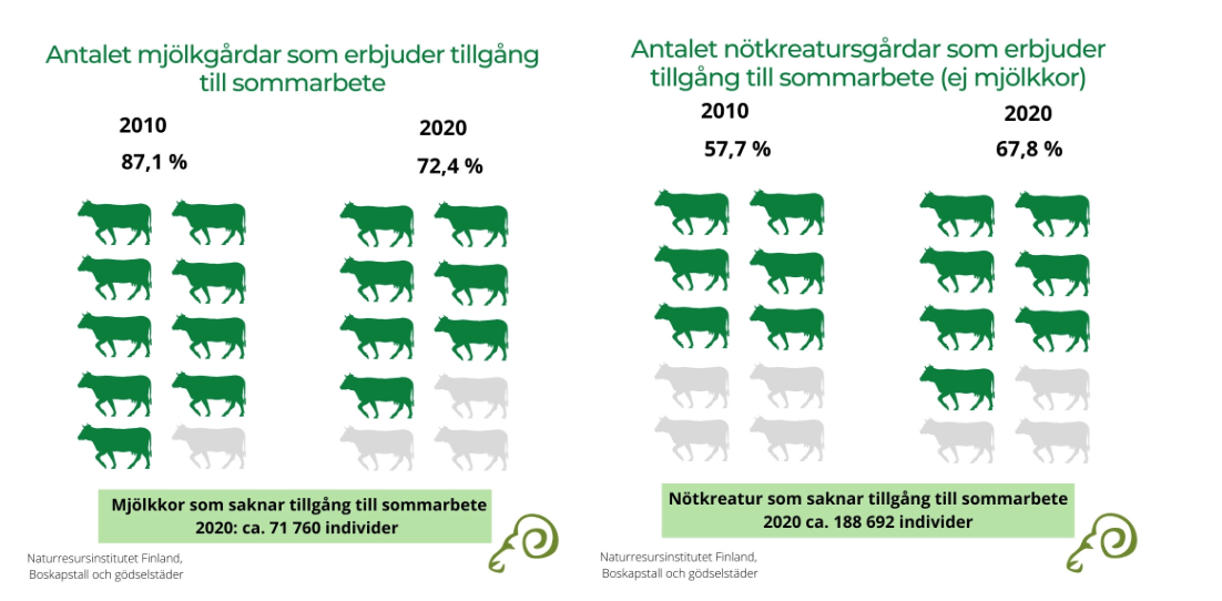 Statistik om antalet gårdar dom erbjuder tillgång till sommarbete för mjölkkor och andra nötkreatur. Om mjölkkorsgårdar 87,1 % (2010) och 72,4 % (2020). Mjölkkor utan betesgång circa 71 760 individer året 2020. Om nötkreatursgårdar 57,7, % (2010) och 67,8 % (2020) erbjuder sommarbete. Nötkreatur utan betesgång circa 188 692 individer (2020). 
