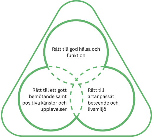 Definition av djurvälfärd