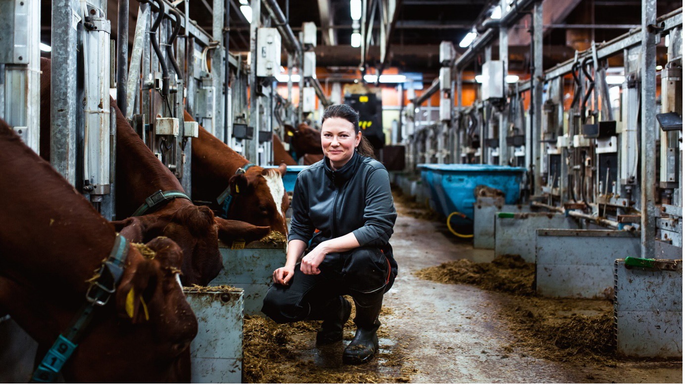 Foto: Naturresursinstitutet/ Eetu Ahonen Gästskribent Leena Suojala i kostallet. Tre kor äter foder.