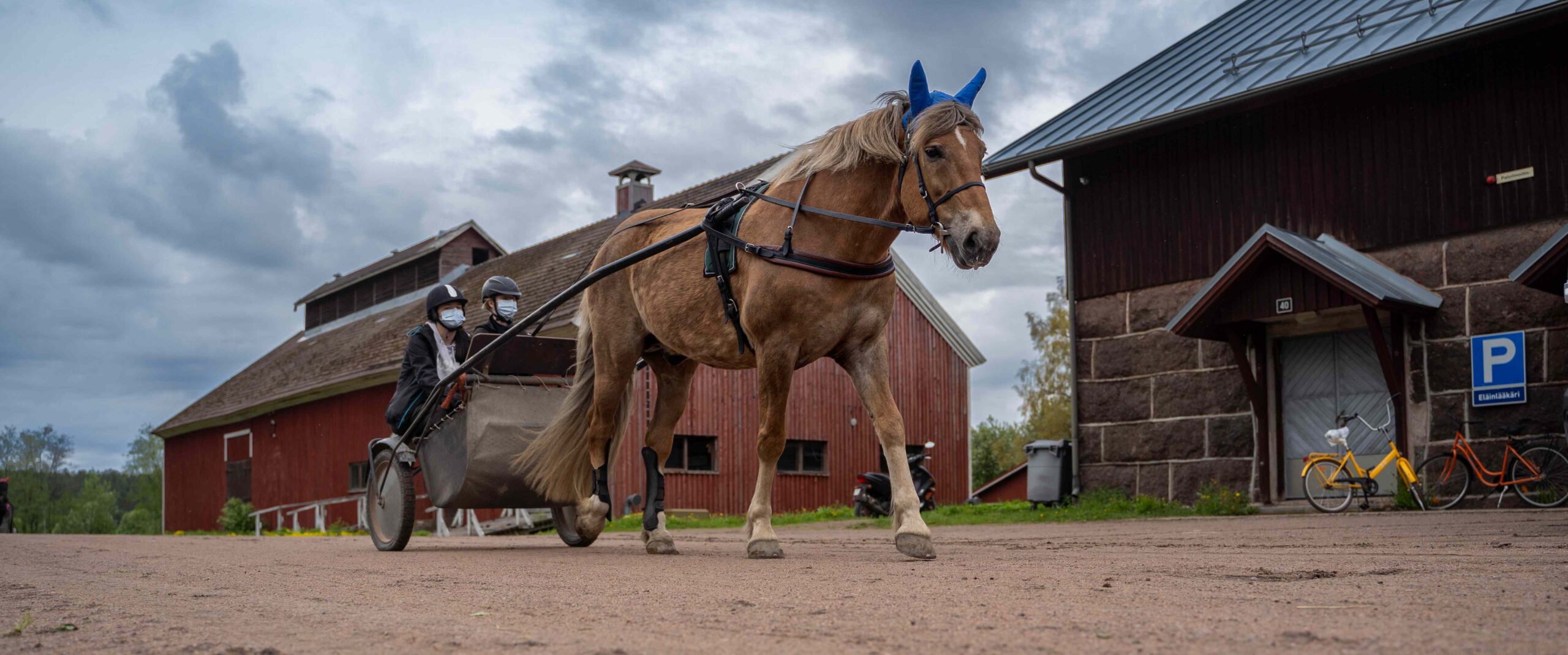 HUmmava-hanke tuottaa työkaluja hevosten hyvinvoinnin arvioinnin tueksi