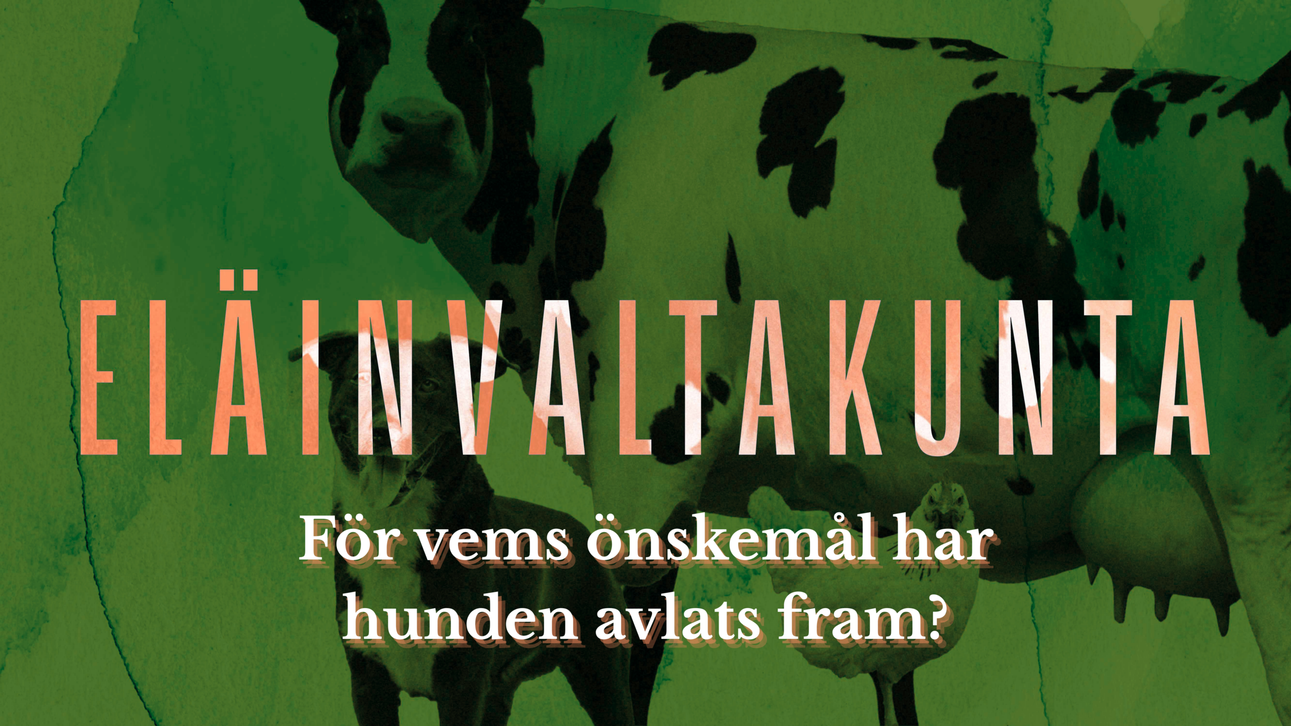 För vems önskemål har hunden avlats fram? Illustrationsbild