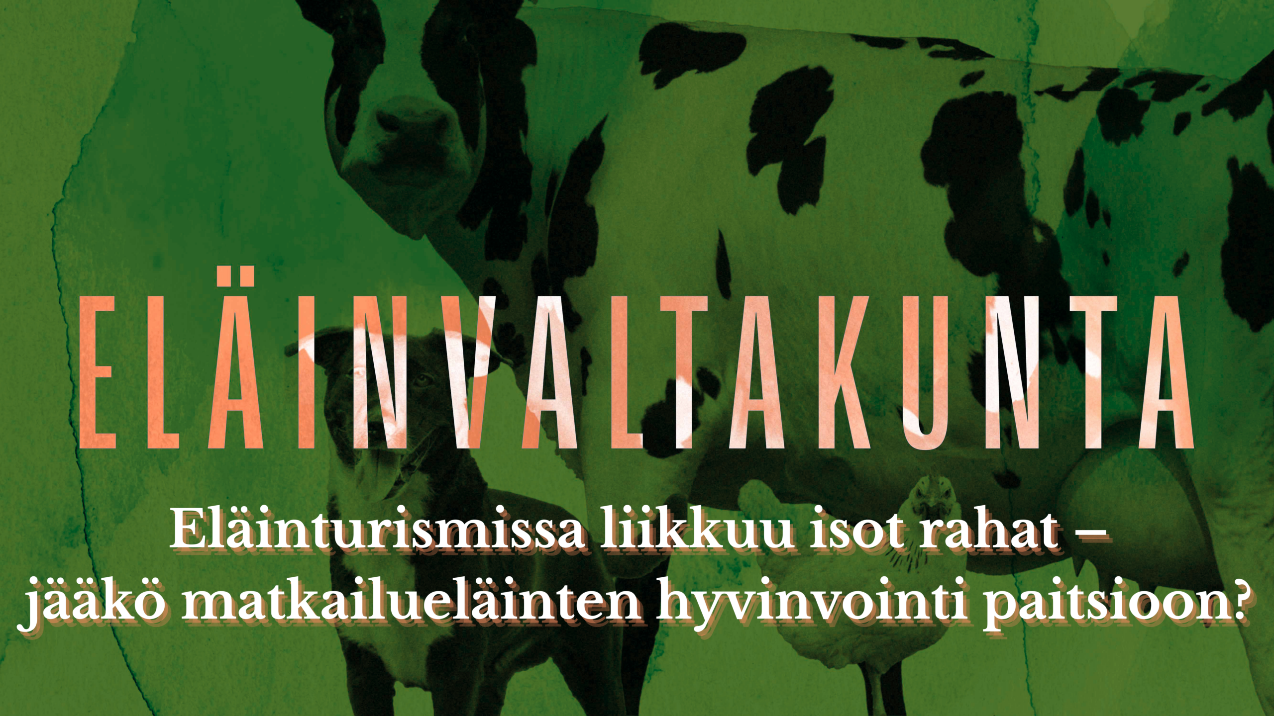 Eläinmatkailussa liikkuu isot rahat - Eläinvaltakunta-podcastin syynissä Lapin eläinturismi