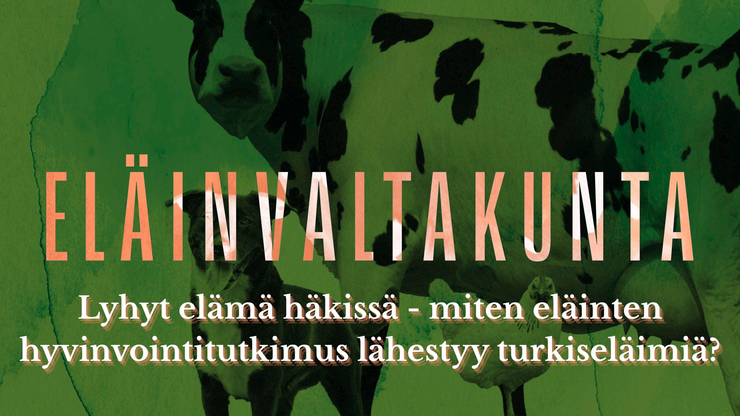 Miten eläinten hyvinvointitutkimus lähestyy turkiseläinten hyvinvointia? Eläinvaltakunta-podcast, kuvituskuva
